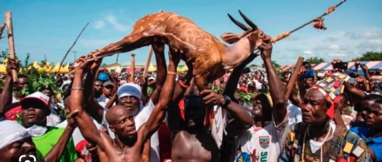 Aboakyer Festival: Winneba’s Cultural Hunt